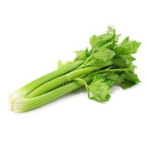 Celery 300g