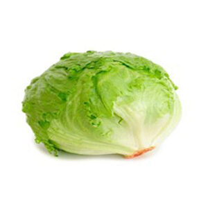 Iceberg Lettuce Sgl
