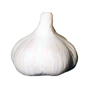 Garlic 3pk