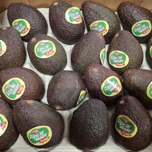 Haas Avocado