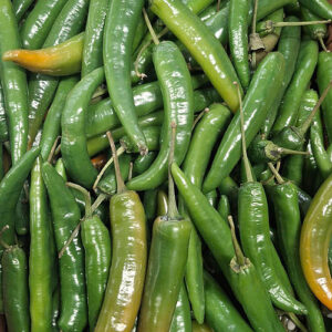 Long Green Chilli 3Kg