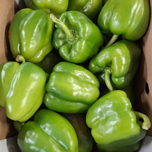 Capsicum Green 5Kg