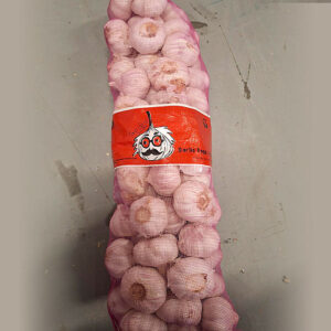 Garlic Net