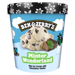 Ben & Jerry's Ice Cream Minter Wonderland 465 ML