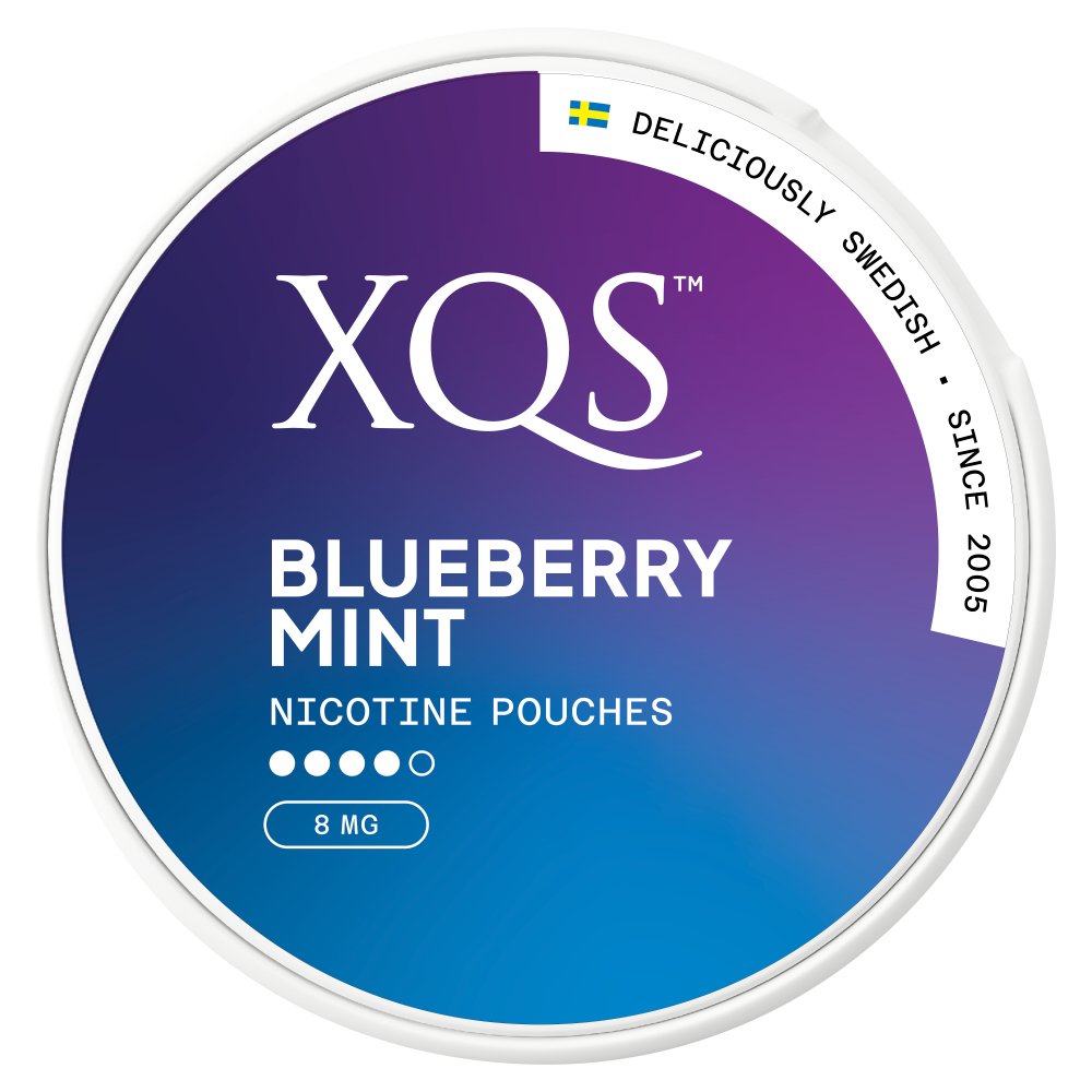 XQS 20 Blueberry Mint Nicotine Pouches 8mg
